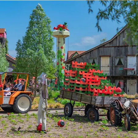 Ostseeglueck App Mittagsonne * Loddin