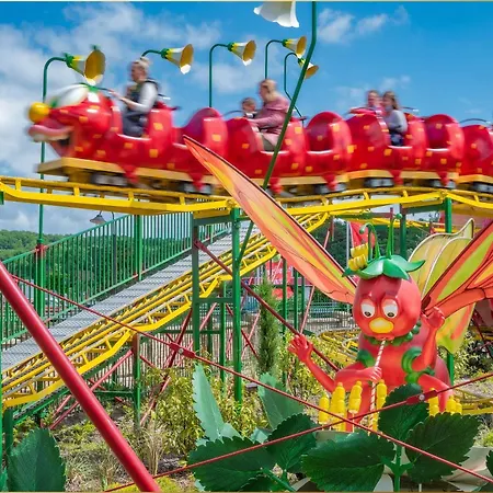 Ostseeglueck App Mittagsonne ロディン